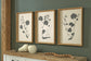 Ashley Express - Huddwick Wall Art Set (3/CN)